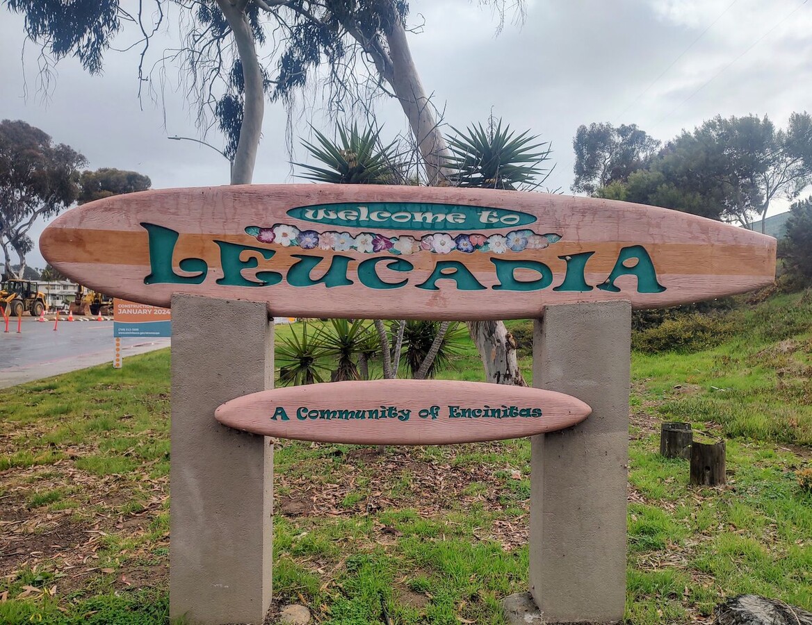 Leucadia Hidden Gem West of HWY 101! - Leucadia Hidden Gem West of HWY 101!