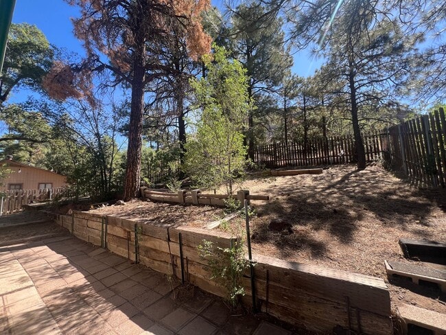 Photo - (LEASE PENDING) Large 3 Bed/2 Bath HOUSE i...