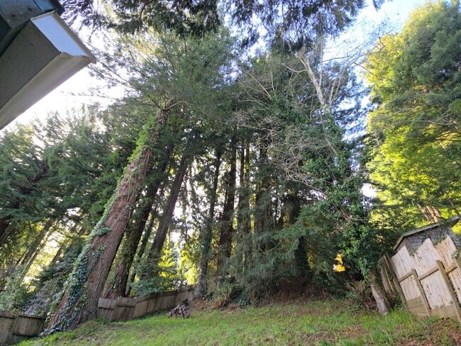Photo - 3BD Sunny Brae home nestled in the Redwoods!