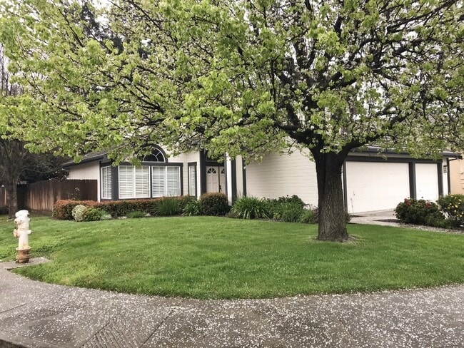Photo - CORNER LOT MODERN 4 BEDROOM HOME DIXON *STAR RENTALS