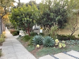 front yard - 835 Pacific St Unit Home in the courtyard