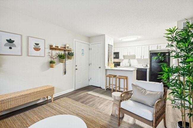 Art Museum Dr-005 - The Landings at San Marco