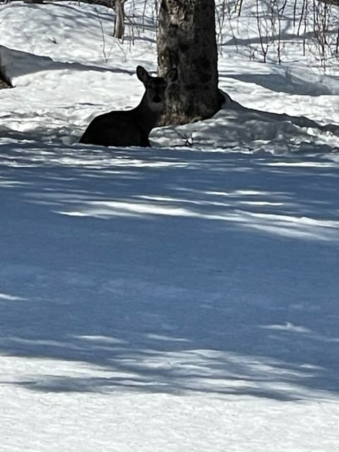 Photo - 5005 Glenwood St