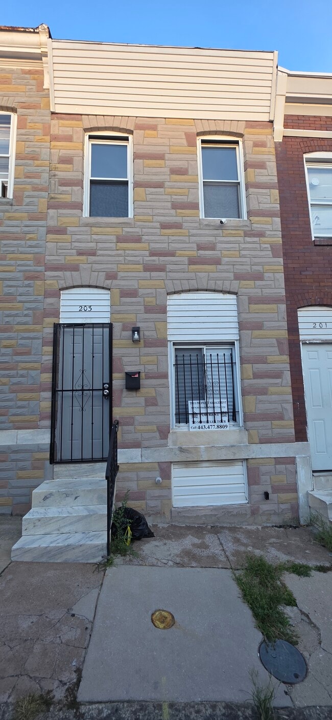 Building Photo - 203 N Curley St