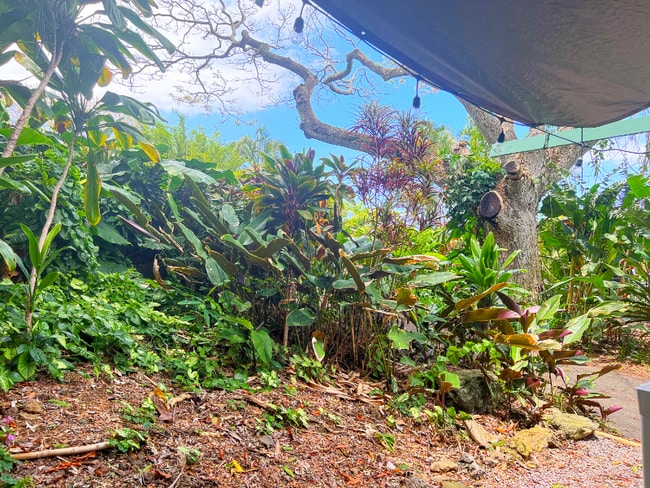 Photo - 81-6467 Mamalahoa Hwy