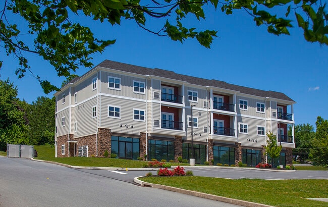 Photo - GKM 316 Primrose