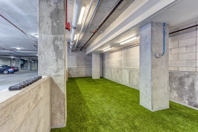 Second Floor Covered Dog Run