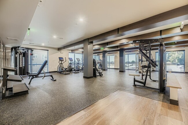 Wellness Starts Here