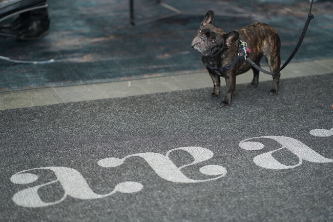 Pet Friendly Community with private pet park on site