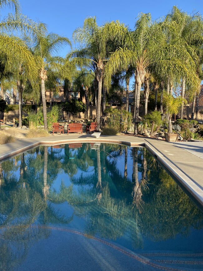 Main pool area - 1305 E San Bernardino Ave House