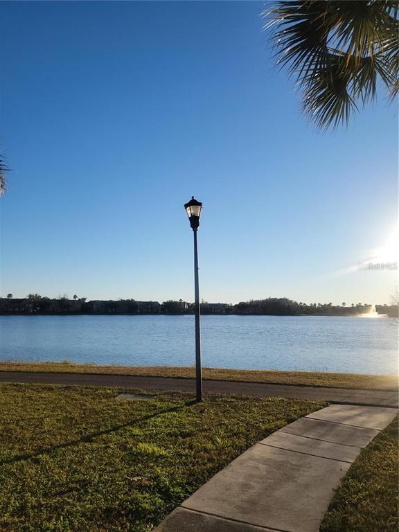 9032 Lake Chase Island Way Condo Condo for Rent in Westchase, FL