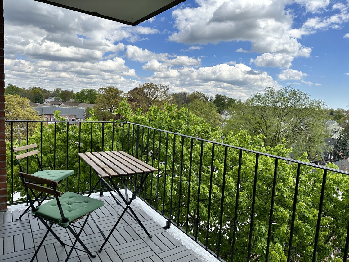 View from the Balcony - 87 Glenbrook Rd (Stamford, CT)