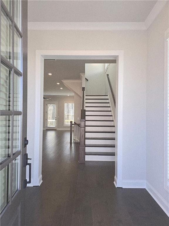 Photo - 163 Basil St