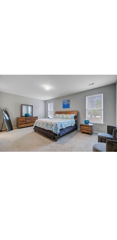 Photo - 1038 Magnolia Warbler Wy