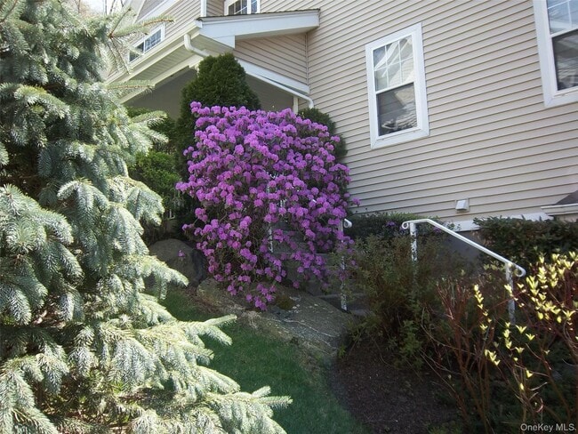 Photo - 36 Briarbrook Dr