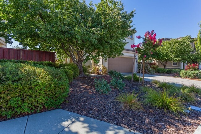 Photo - Beautiful 3 Bed/2.5 Bath 2- Story Home