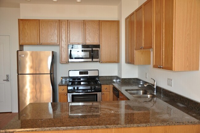 1464 S Michigan Ave Unit 2306