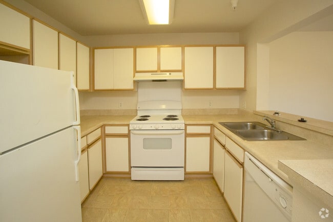 1BR,1BA,-767SF Kitchen