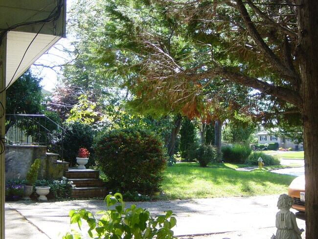 area - 283 Coronado St Unit Apt for rent