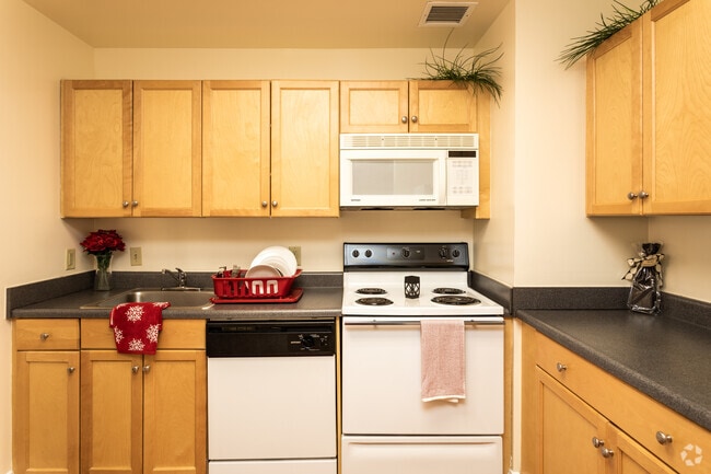 1HAB, 1BA 827 ft² - The Atrium