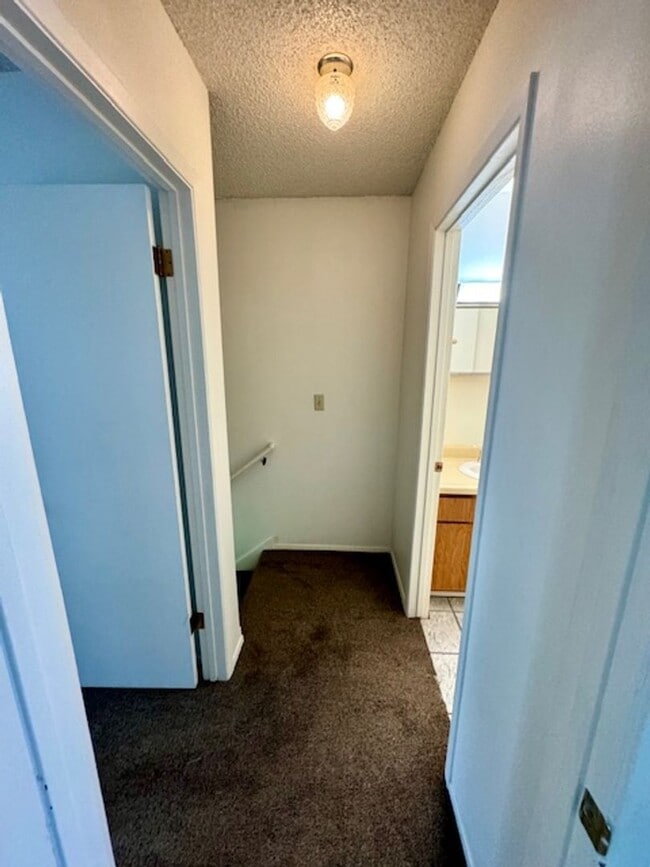 Photo - 2 Bedrooms 1 Bathroom-Pet Friendly