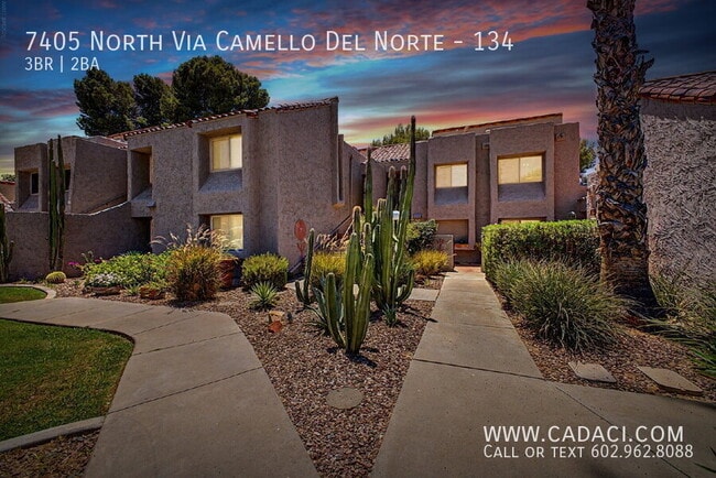 Building Photo - 7405 N Vía Camello Del Norte Unit 134