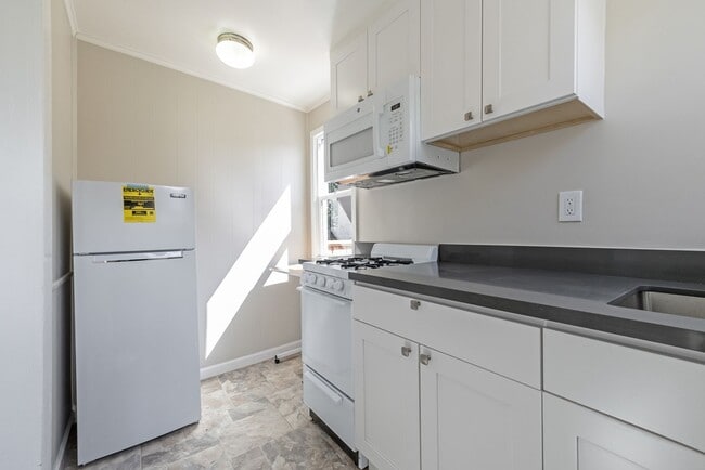 Photo - 1530 Minturn St - Studio | 1 bath | Lower rear unit Unit 1530 Minturn Street