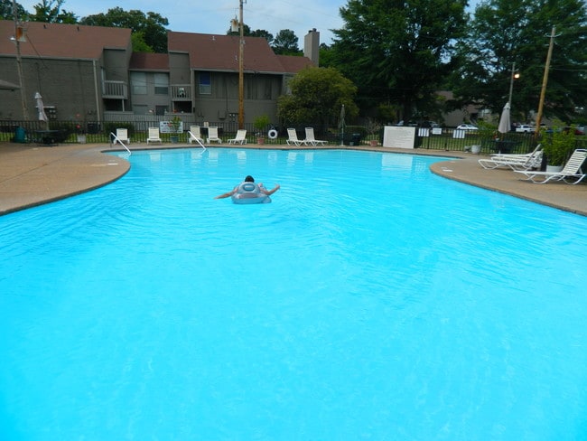 King's Creek