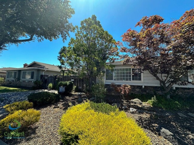 $2995 - 2 Bed/1.5 Bath Duplex in Santa Cla... - House Rental in Santa