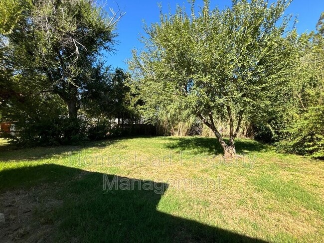 Photo - 305 E Jacobs Dr