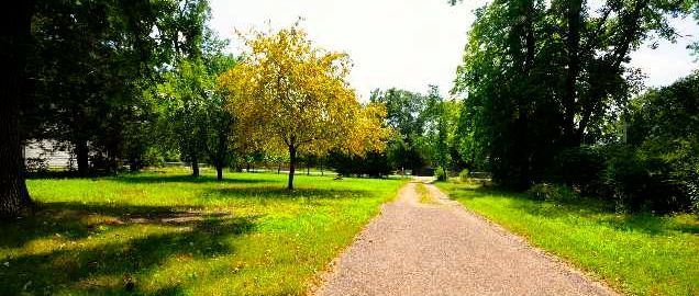 Photo - Roommate wanted to share charming cottage nestled in the woods!