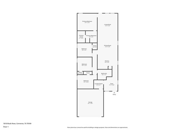 Photo - 1818 Musk Rose