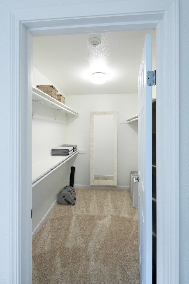 Spacious walk-in closet