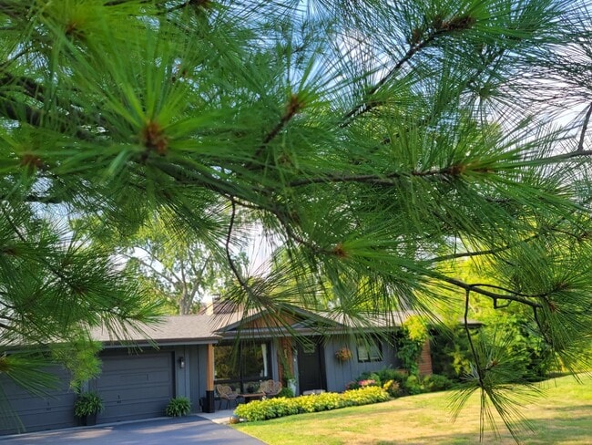 Photo - 83 Wildwood Dr