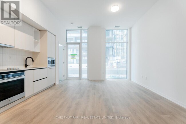 Photo - 10 Graphophone Grv Unité 305