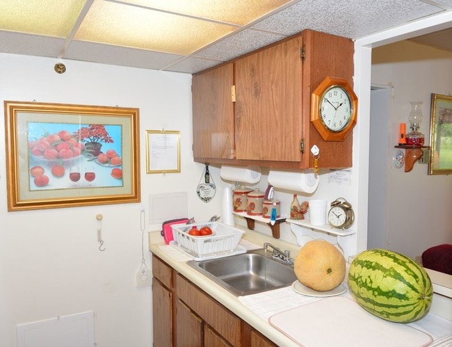 Photo - Carl D. Perkins