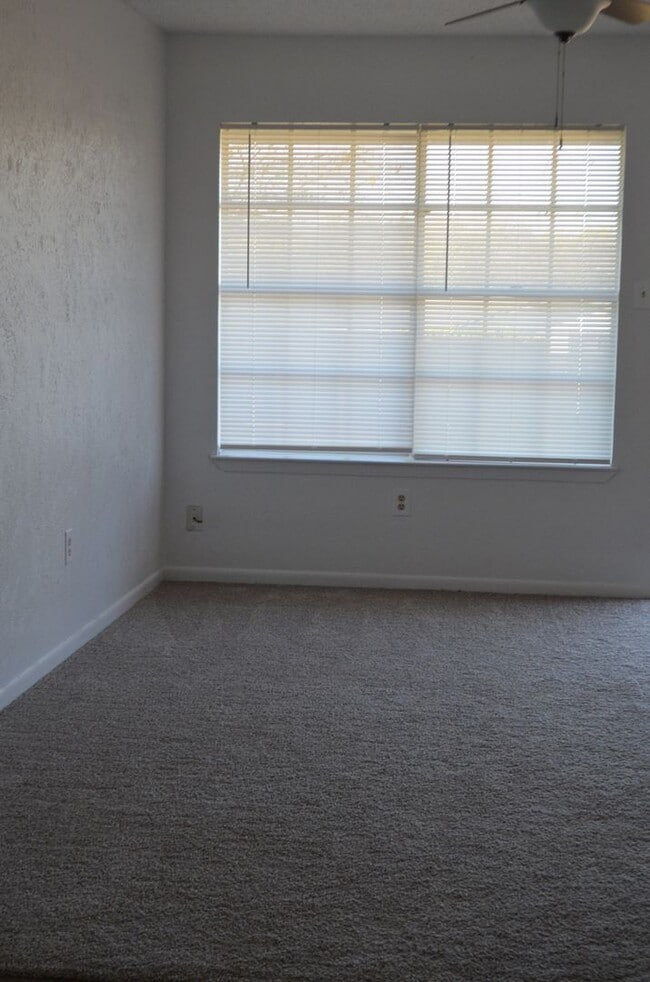 Photo - Reduced price!