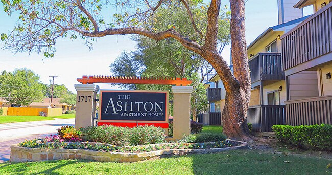 The Ashton Apartments