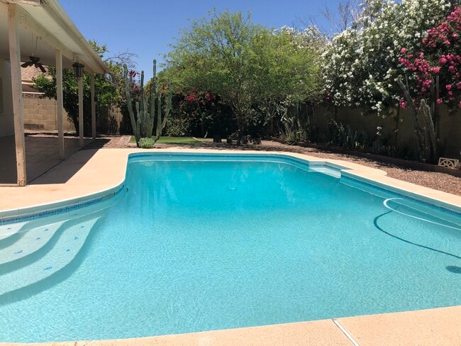 Pool - 2715 S Cottonwood