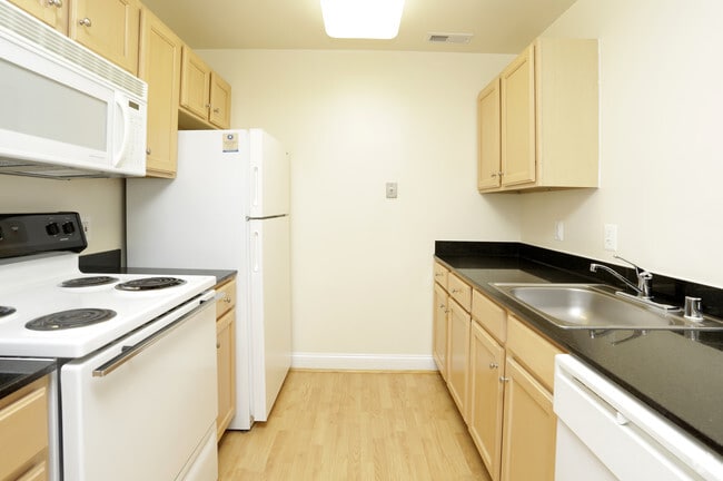 1BR, 1BA - 636 SF