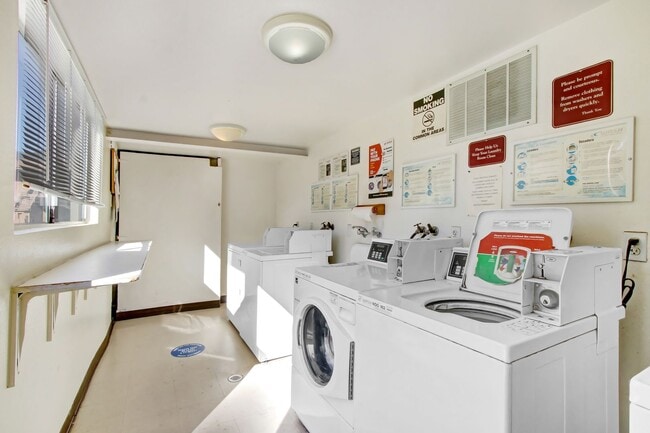 Photo - Beautiful 1 bedroom 1 Bath Unit Unidad 365-4