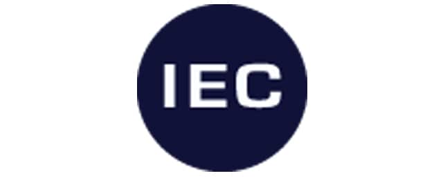 The Dylan