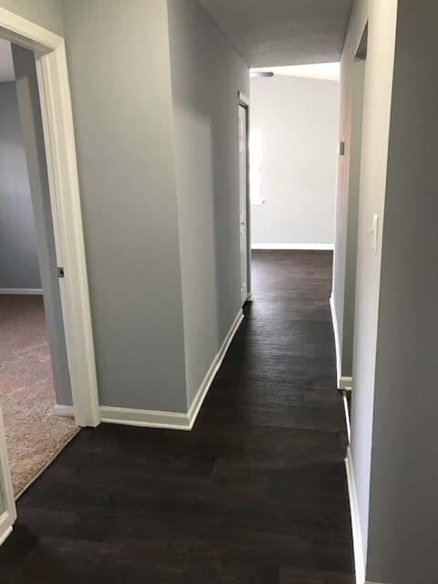 Renovated 2 Bed 1 Bath
