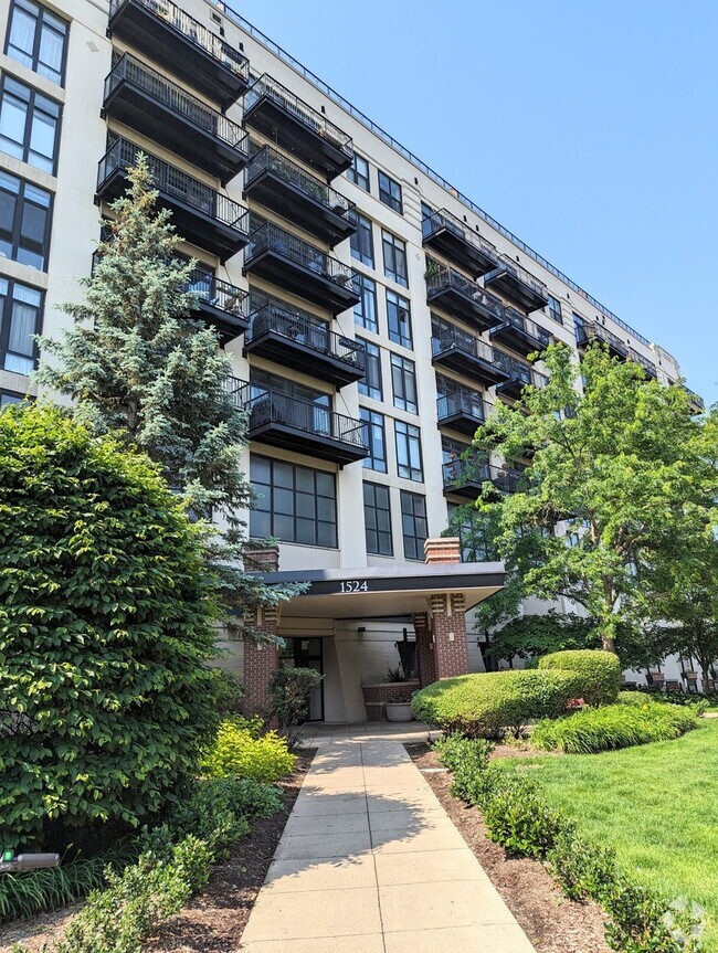Building Photo - 1524 S Sangamon St Unit 401 Rental