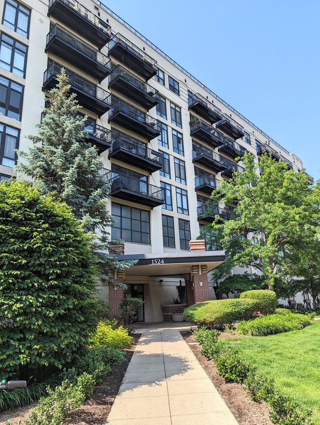 Building Photo - 1524 S Sangamon St Unit 401 Rental