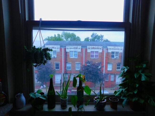 Photo - 1621 Diamond St Unit 3