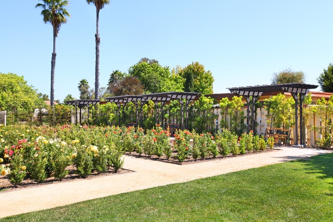 Photo - Town Park Villas