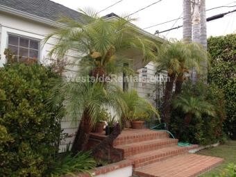 Frente de la casa desde el patio - 1215 California Ave