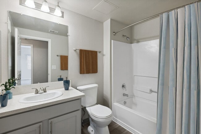 Photo - Marina Village Apartments