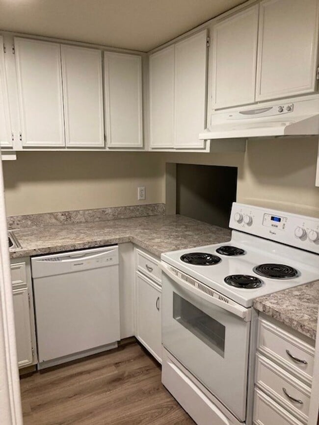 Photo - 3883 Colony Oaks Dr